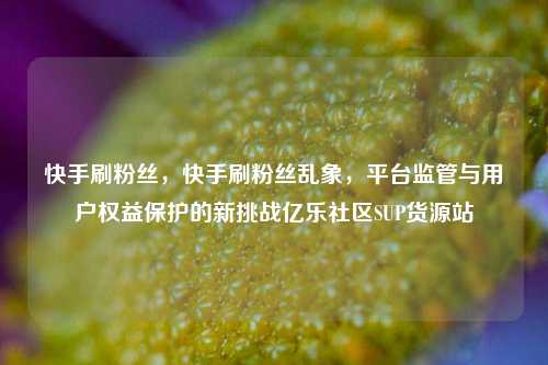 快手刷粉丝，快手刷粉丝乱象，平台监管与用户权益保护的新挑战亿乐社区SUP货源站  第1张